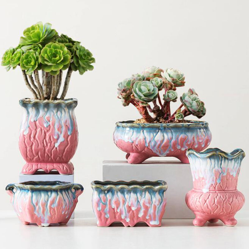 Snake Plant Ceramic - Creatieve Geglazuurde Bloempot Sappige Plant Pot