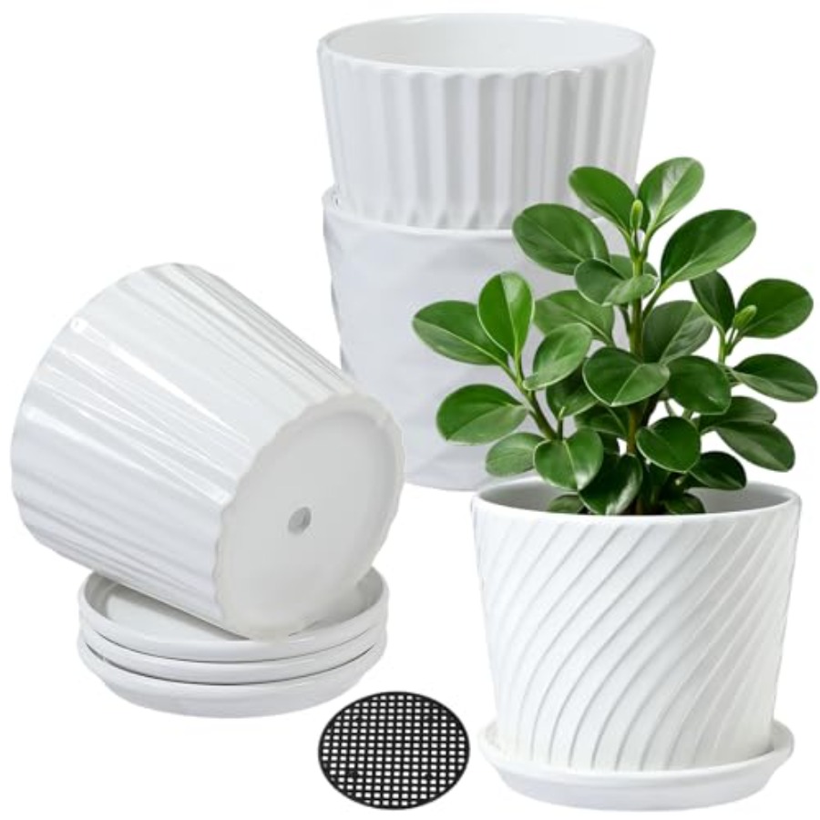 Snake Plant Ceramic - Plantpotten - Cilindervormige keramische plantenbakken met