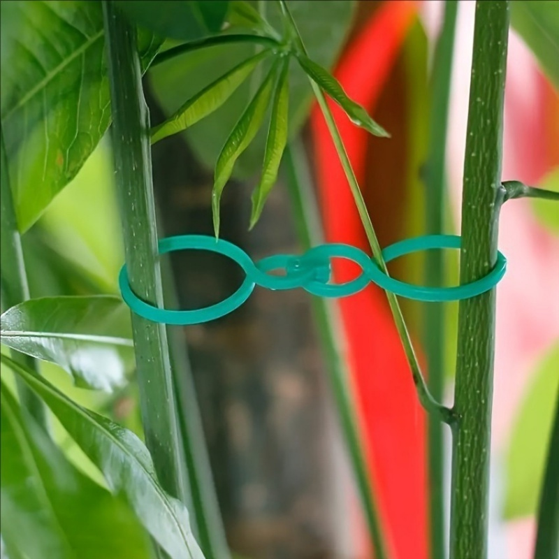125-delige tuinplantenonderste - Plant Parent Kit recensie en prijs