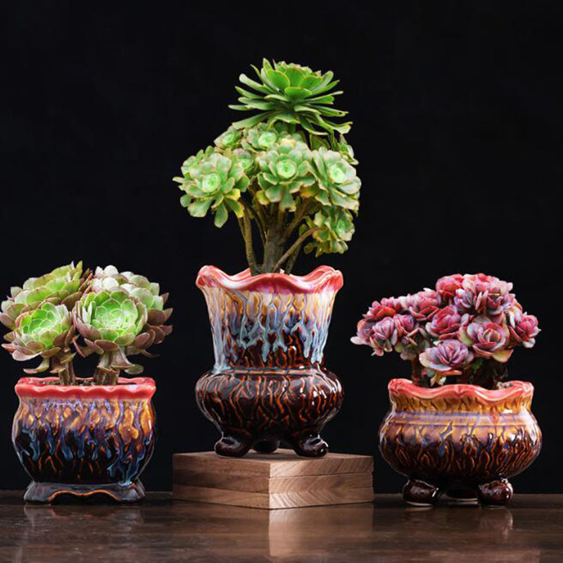 Creatieve Geglazuurde Bloempot - Snake Plant Ceramic recensie en prijs
