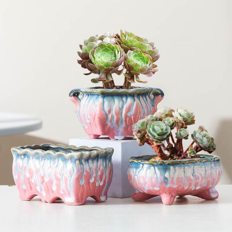 Creatieve Geglazuurde Bloempot - Snake Plant Ceramic recensie en prijs