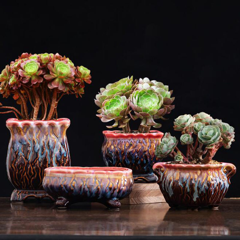 Creatieve Geglazuurde Bloempot - Snake Plant Ceramic recensie en prijs
