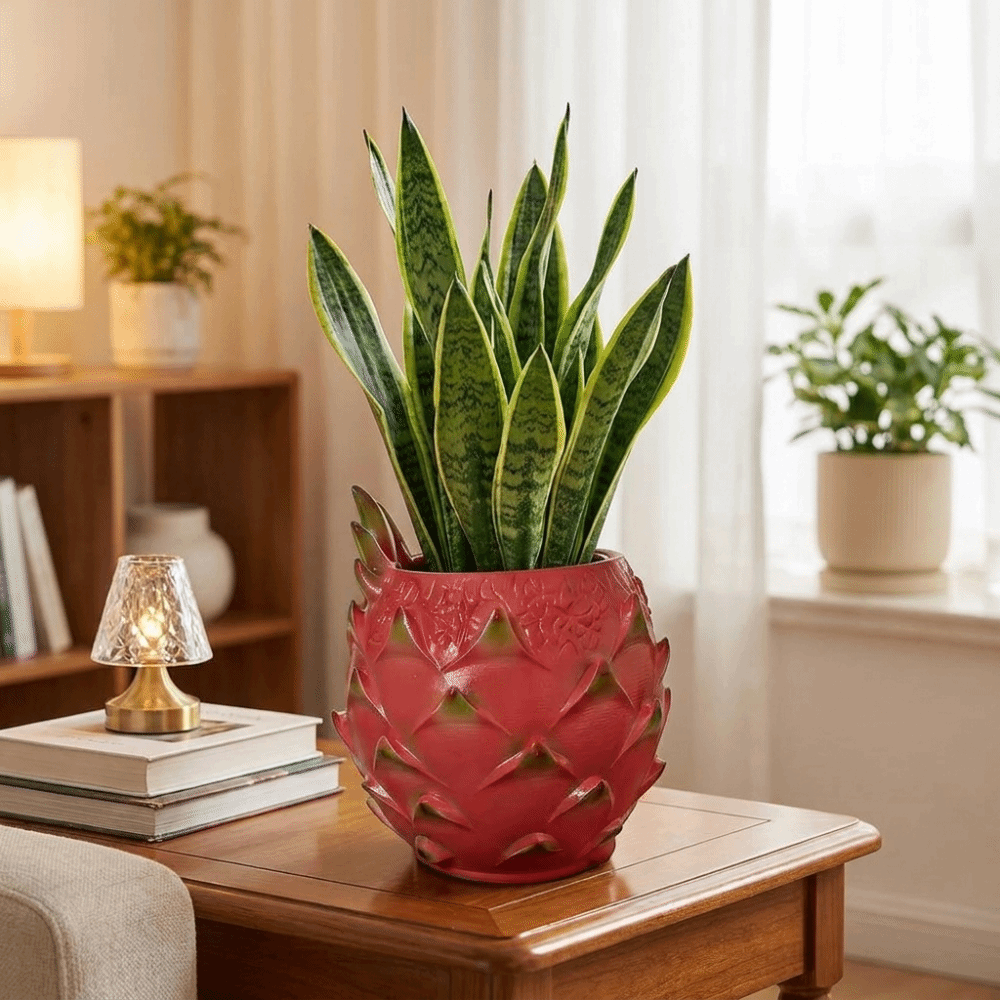 Creatieve hars drakenfruit pla - Snake Plant Ceramic recensie en prijs
