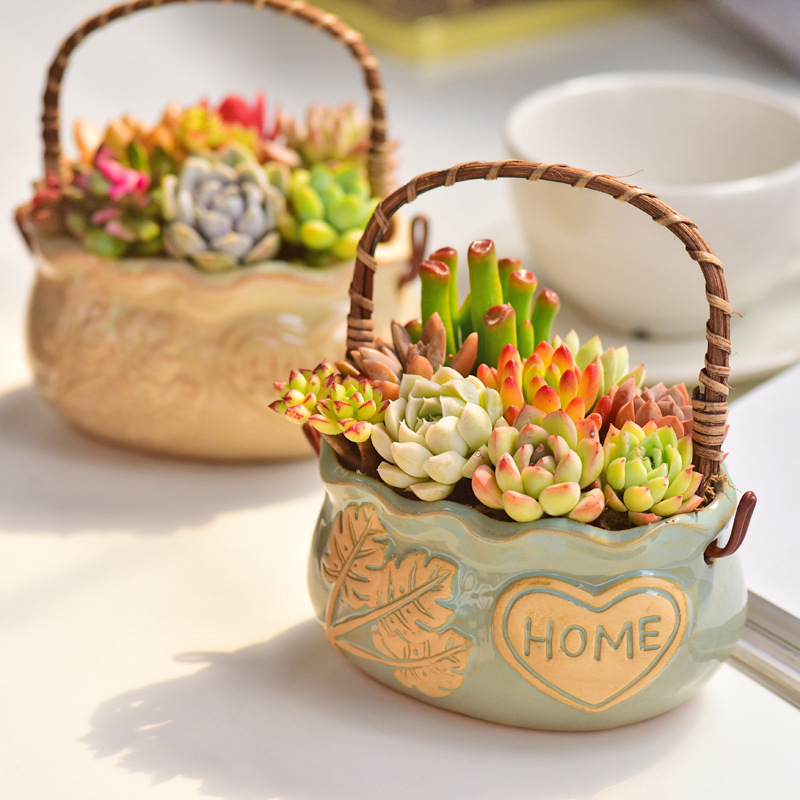 Noordse stijl keramische mandv - Snake Plant Ceramic recensie en prijs