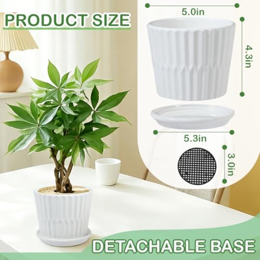 Plantpotten - Cilindervormige  - Snake Plant Ceramic recensie en prijs