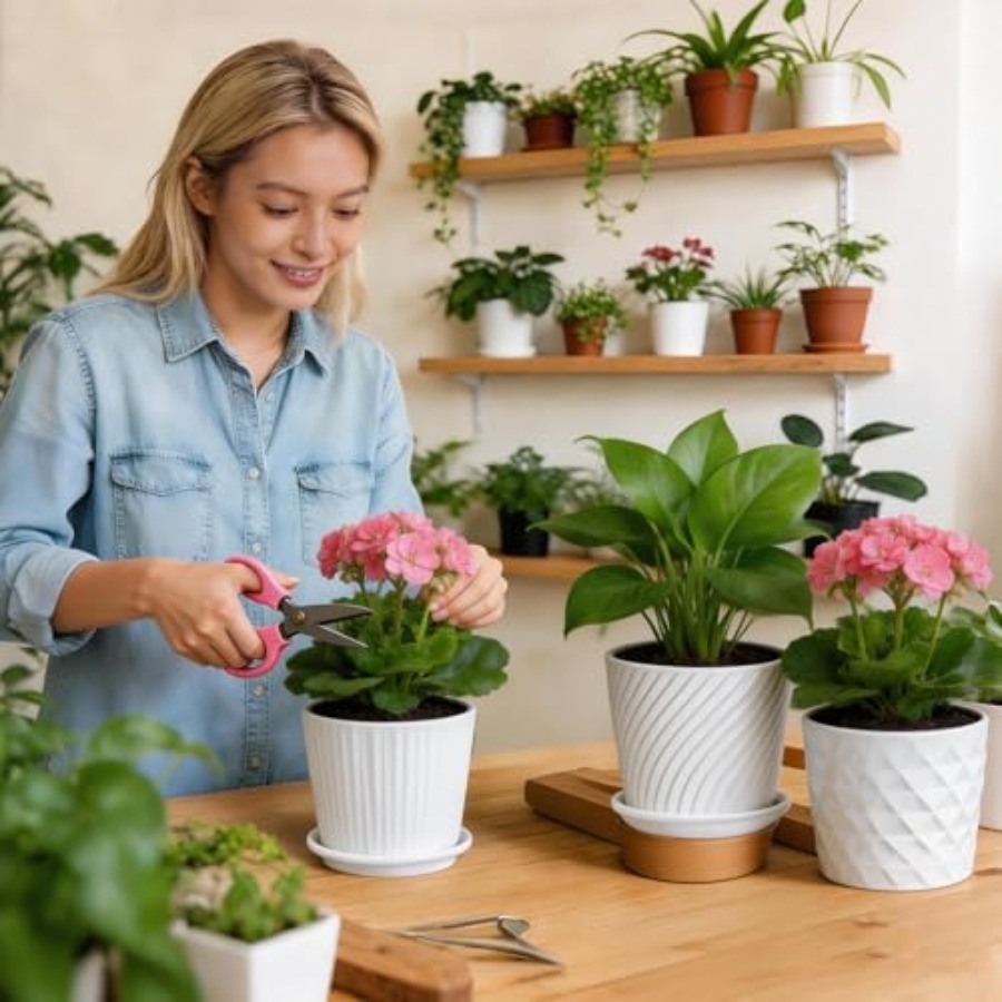 Plantpotten - Cilindervormige  - Snake Plant Ceramic recensie en prijs