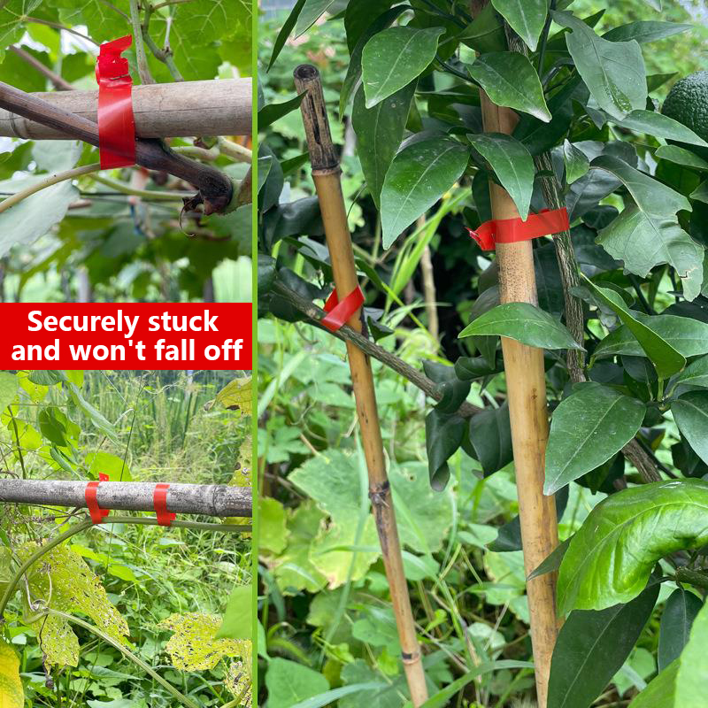 Tuinplanten Takkenbindmachine, - Plant Parent Kit recensie en prijs