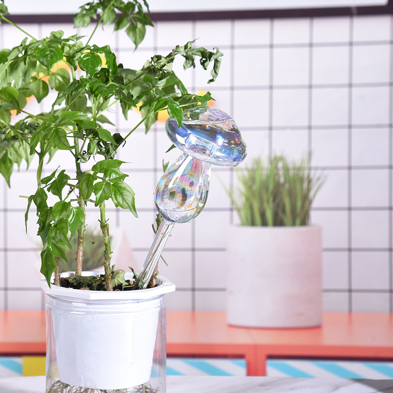 1/2 Stuks Glazen Stro Automati - Plant Parent Kit recensie en prijs