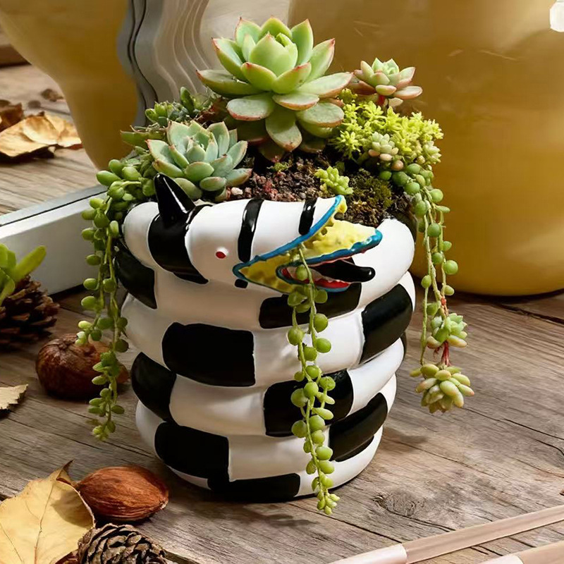 1 stuk zwart-witte slangvormig - Snake Plant Ceramic recensie en prijs