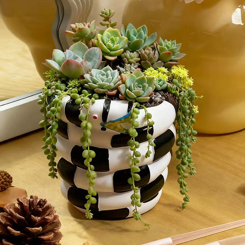1 stuk zwart-witte slangvormig - Snake Plant Ceramic recensie en prijs