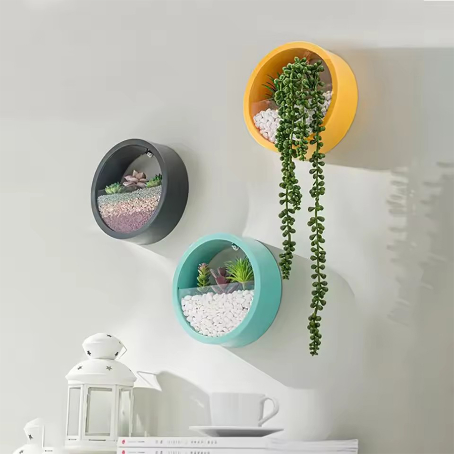 Ronde wandbevestigde plantenpo - Snake Plant Ceramic recensie en prijs