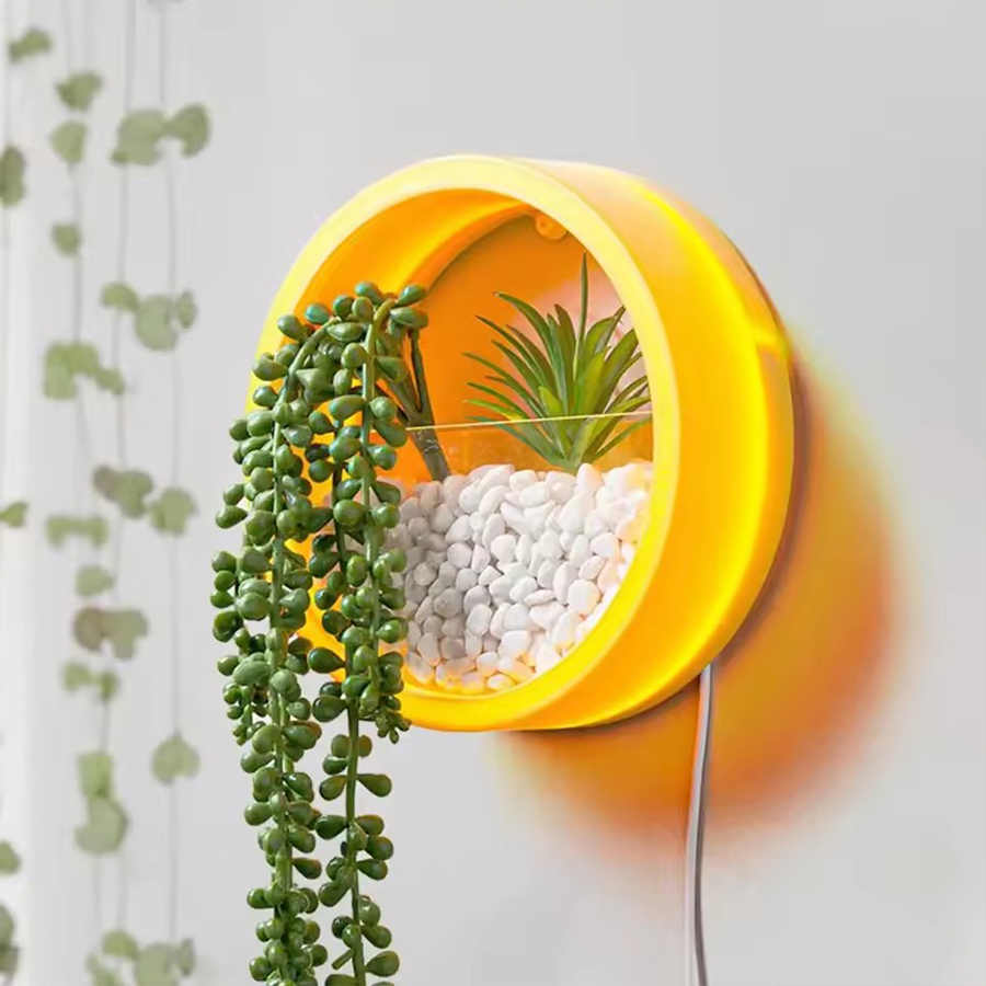 Ronde wandbevestigde plantenpo - Snake Plant Ceramic recensie en prijs