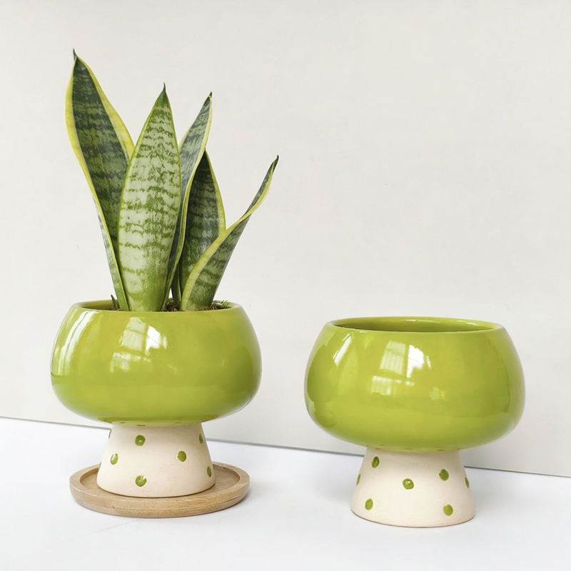 Stijlvolle minimalistische ker - Snake Plant Ceramic recensie en prijs