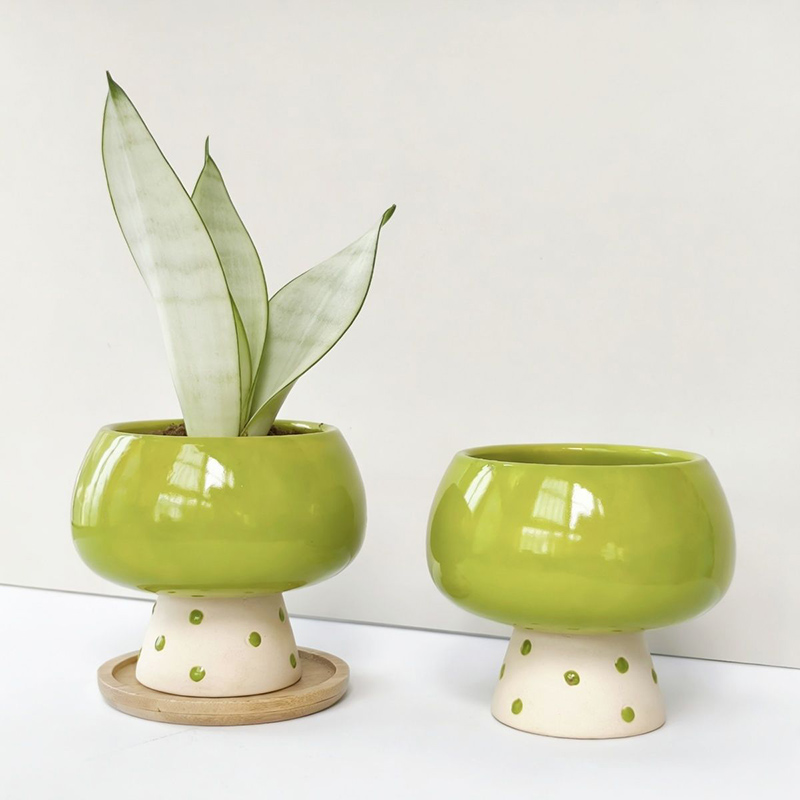 Stijlvolle minimalistische ker - Snake Plant Ceramic recensie en prijs