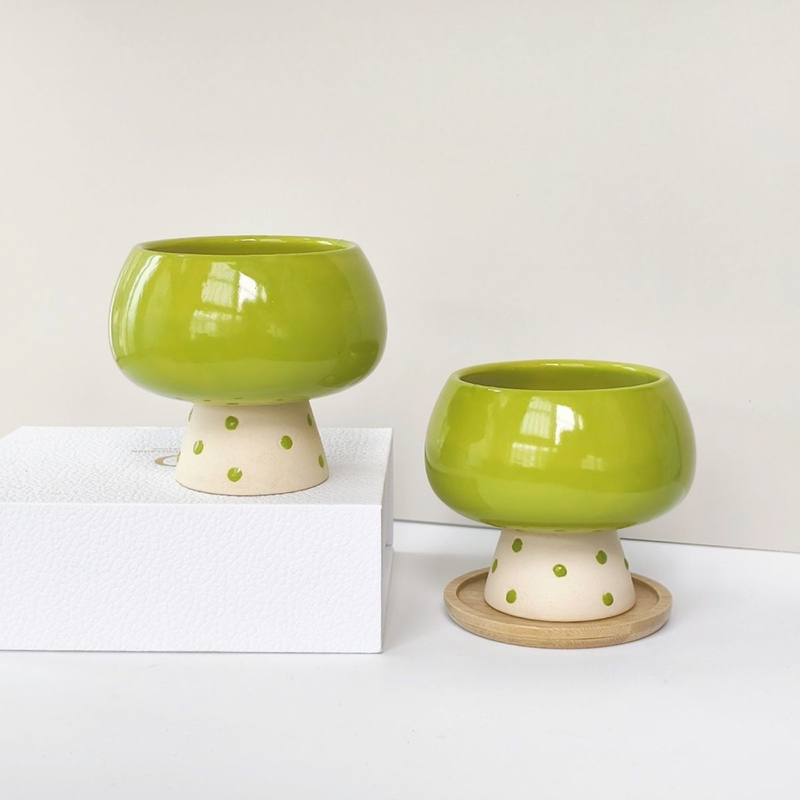 Stijlvolle minimalistische ker - Snake Plant Ceramic recensie en prijs