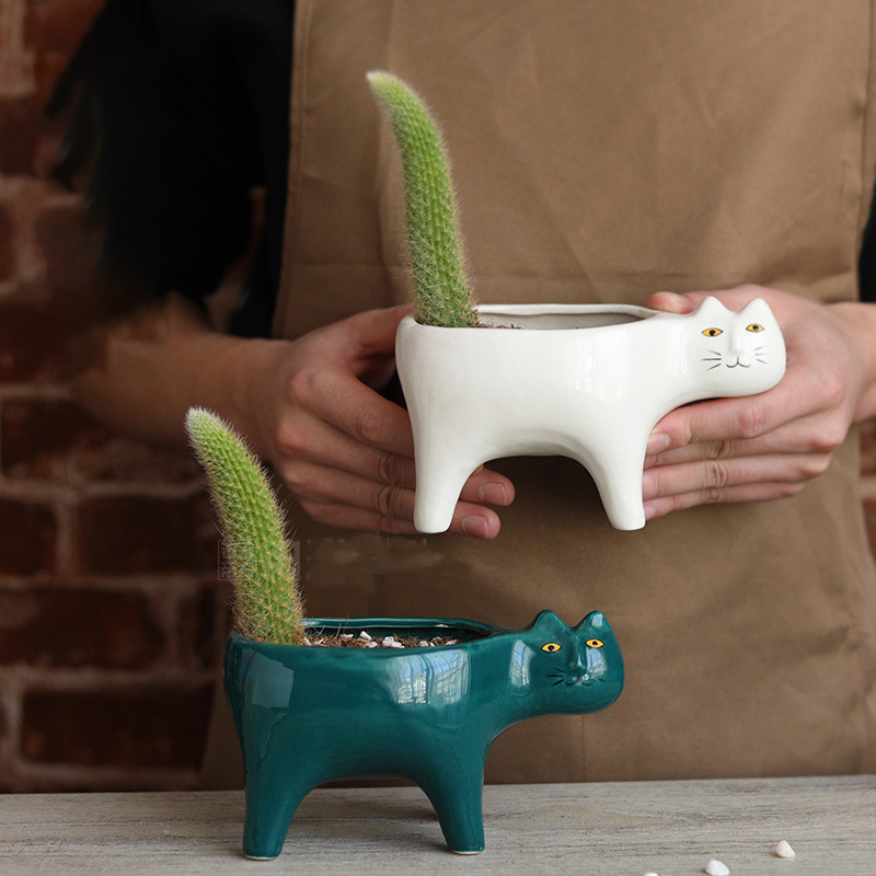 Leuke Kat Keramische Tuin Bloe - Snake Plant Ceramic recensie en prijs