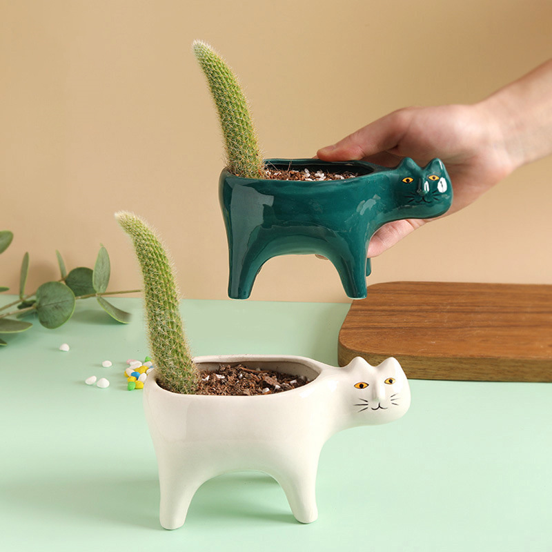Leuke Kat Keramische Tuin Bloe - Snake Plant Ceramic recensie en prijs