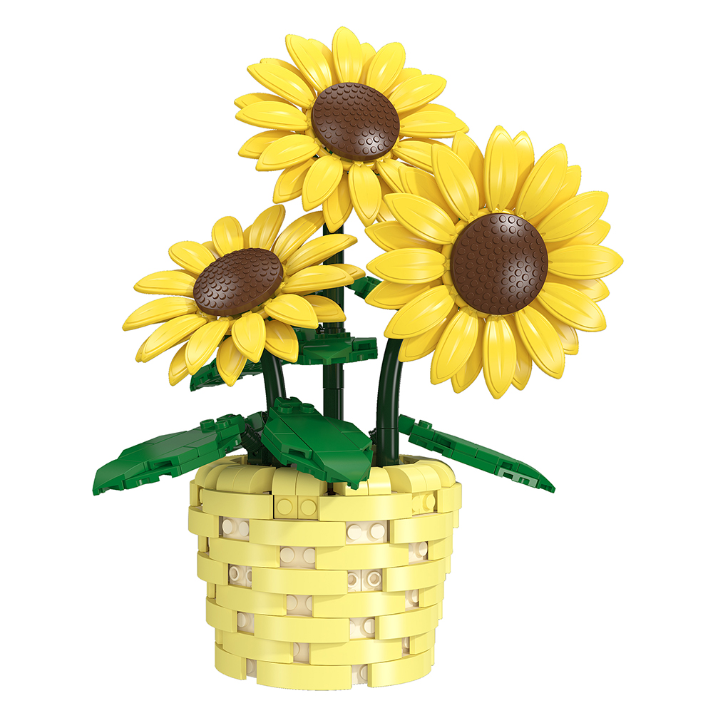 DIY Zonnebloem Potplant Bouwst - Plant Parent Yearly recensie en prijs