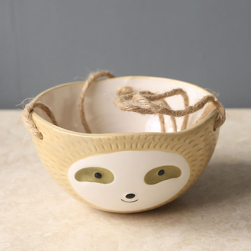 1Pcs Keramische Opknoping Plan - Snake Plant Ceramic recensie en prijs
